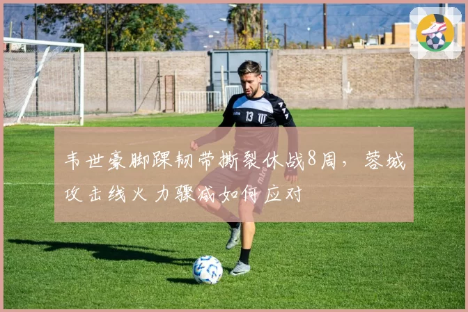 韦世豪脚踝韧带撕裂休战8周，蓉城攻击线火力骤减如何应对