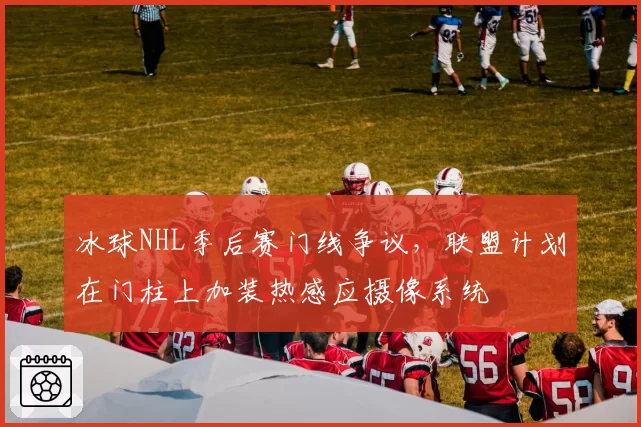 冰球NHL季后赛门线争议,联盟计划在门柱上加装热感应摄像系统