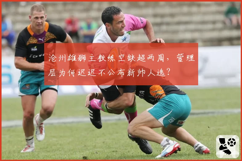 沧州雄狮主教练空缺超两周,管理层为何迟迟不公布新帅人选?